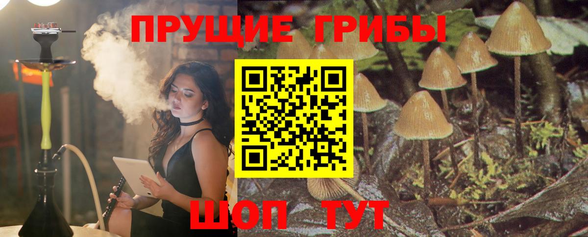 Галлюциногенные грибы Psilocybine cubensis  Вход с VPN  Горячий Ключ 